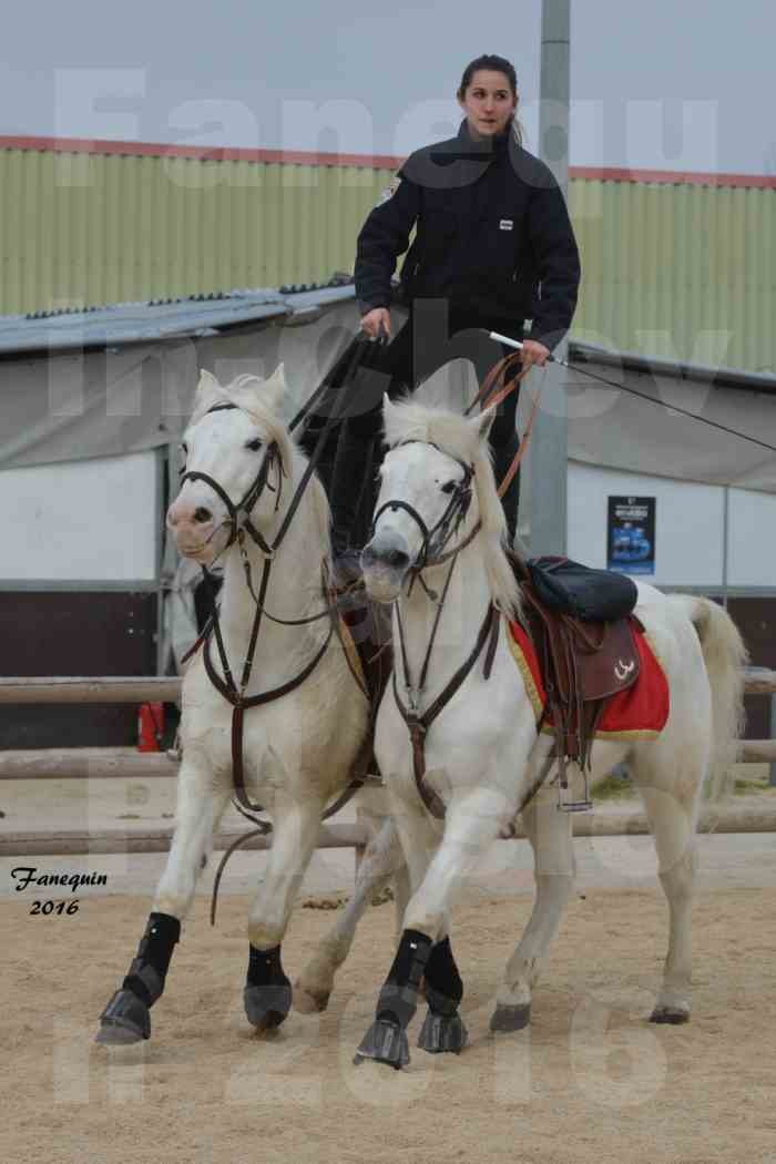 Cheval Passion 2016 - CAMARGUE poste hongroise - 2