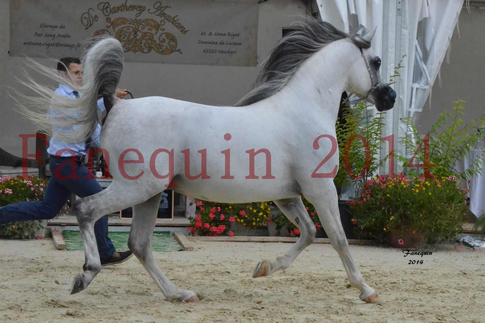 CHAMPIONNAT DE FRANCE  2014 A POMPADOUR - Notre Sélection - SHAOLIN DE NEDJAIA - 21