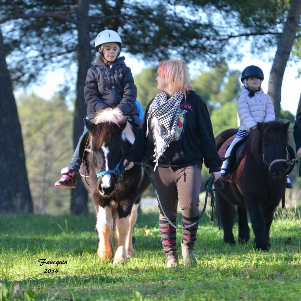 Marchés de Noël 2014 - Promenades en Poneys à Pignan - 26