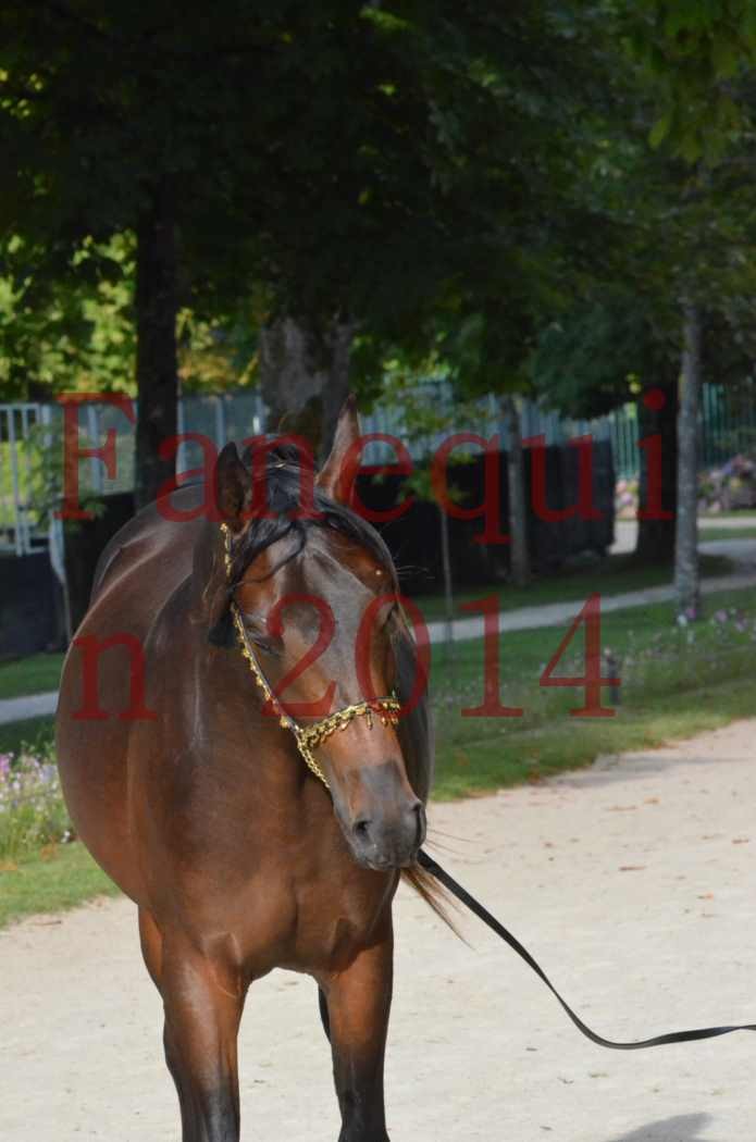 Championnat de FRANCE 2014 - Amateurs - JA KHALEB - 46