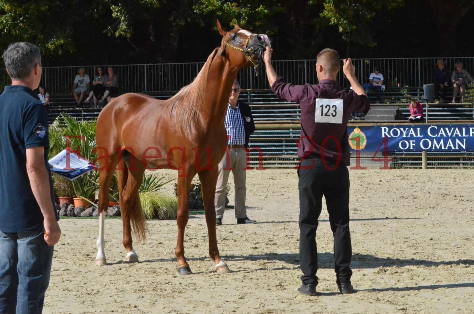 Championnat de FRANCE 2014 - Amateurs - SELECTO IBN SAMAWI - 069