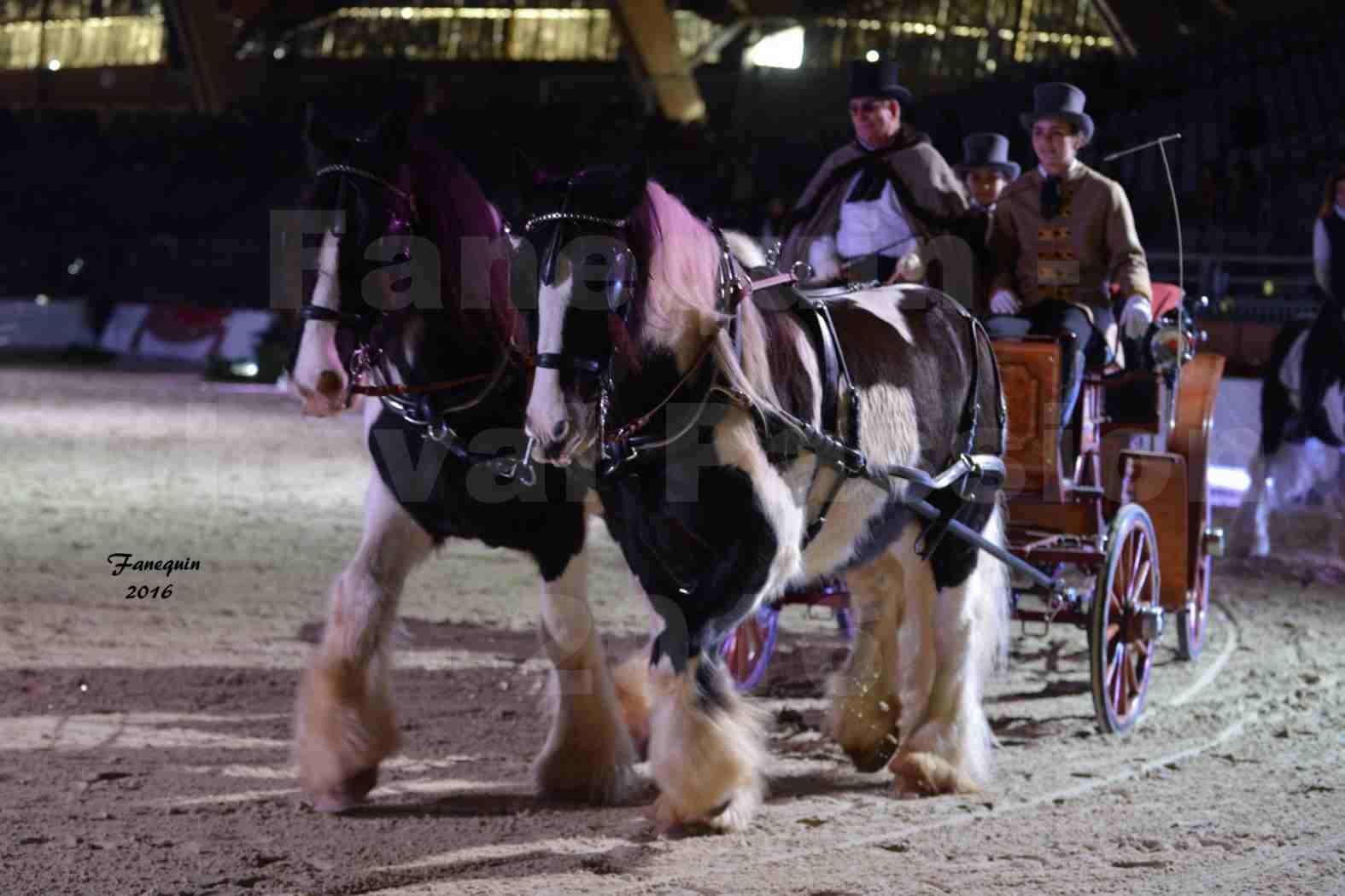 Cheval Passion 2016 - IRISH COB - Attelage en paire - 8