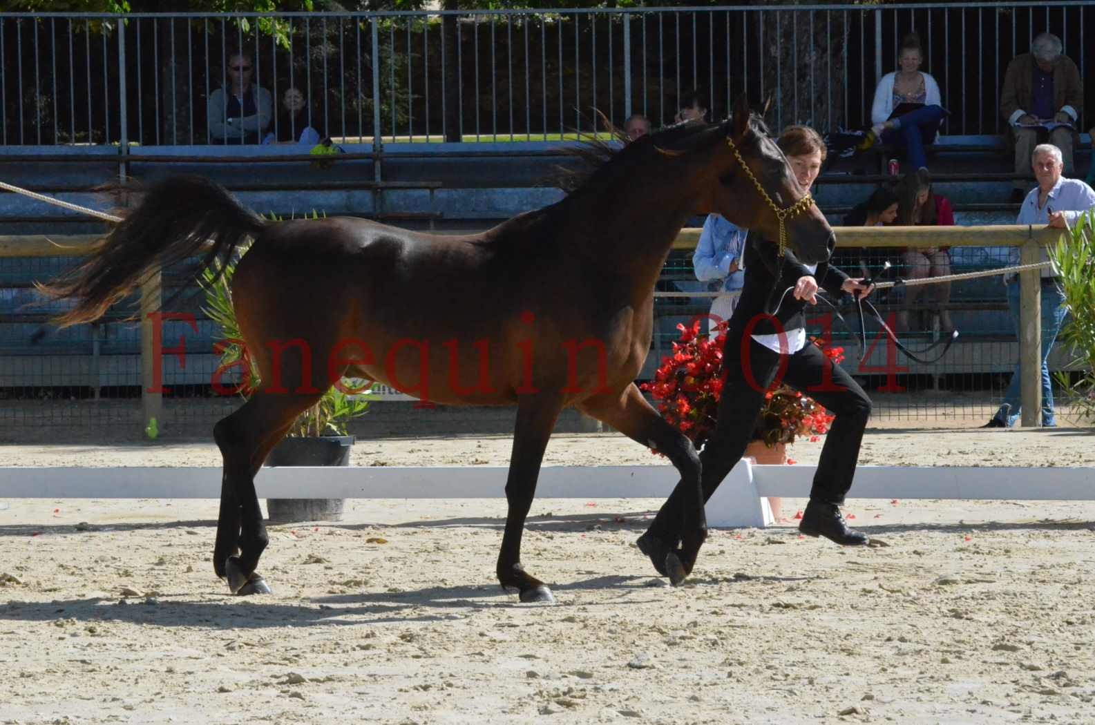 Championnat de FRANCE 2014 - Amateurs - JA KHALEB - 05