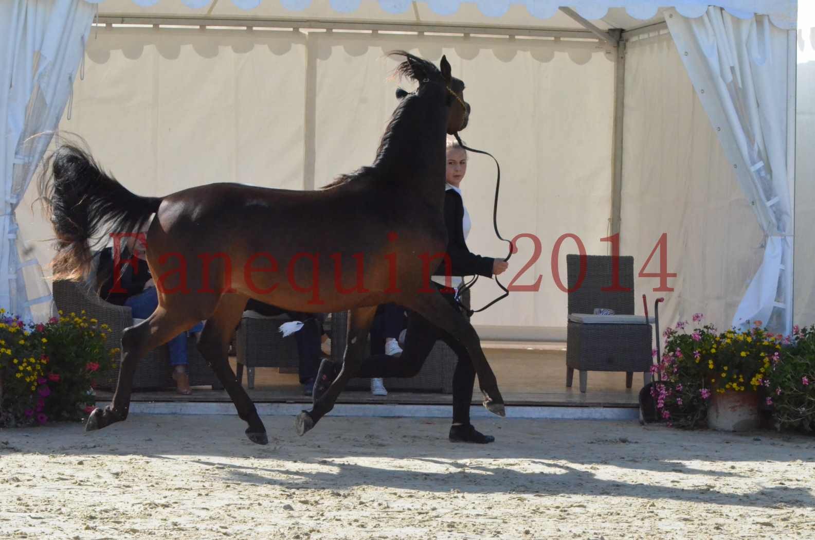 Championnat de FRANCE 2014 - Amateurs - JA KHALEB - 20