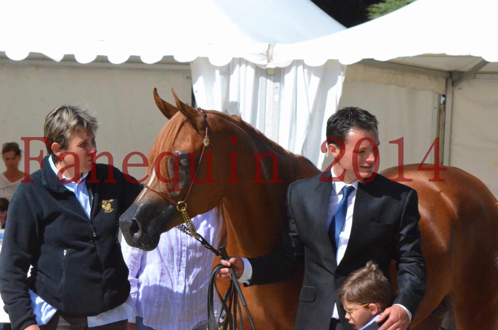 ﻿CHAMPIONNAT DE FRANCE 2014 A POMPADOUR - Sélection - KINSHASA JA - 78