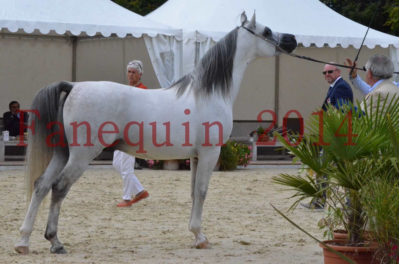 CHAMPIONNAT DE FRANCE  2014 A POMPADOUR - Championnat - SHAOLIN DE NEDJAIA - 22