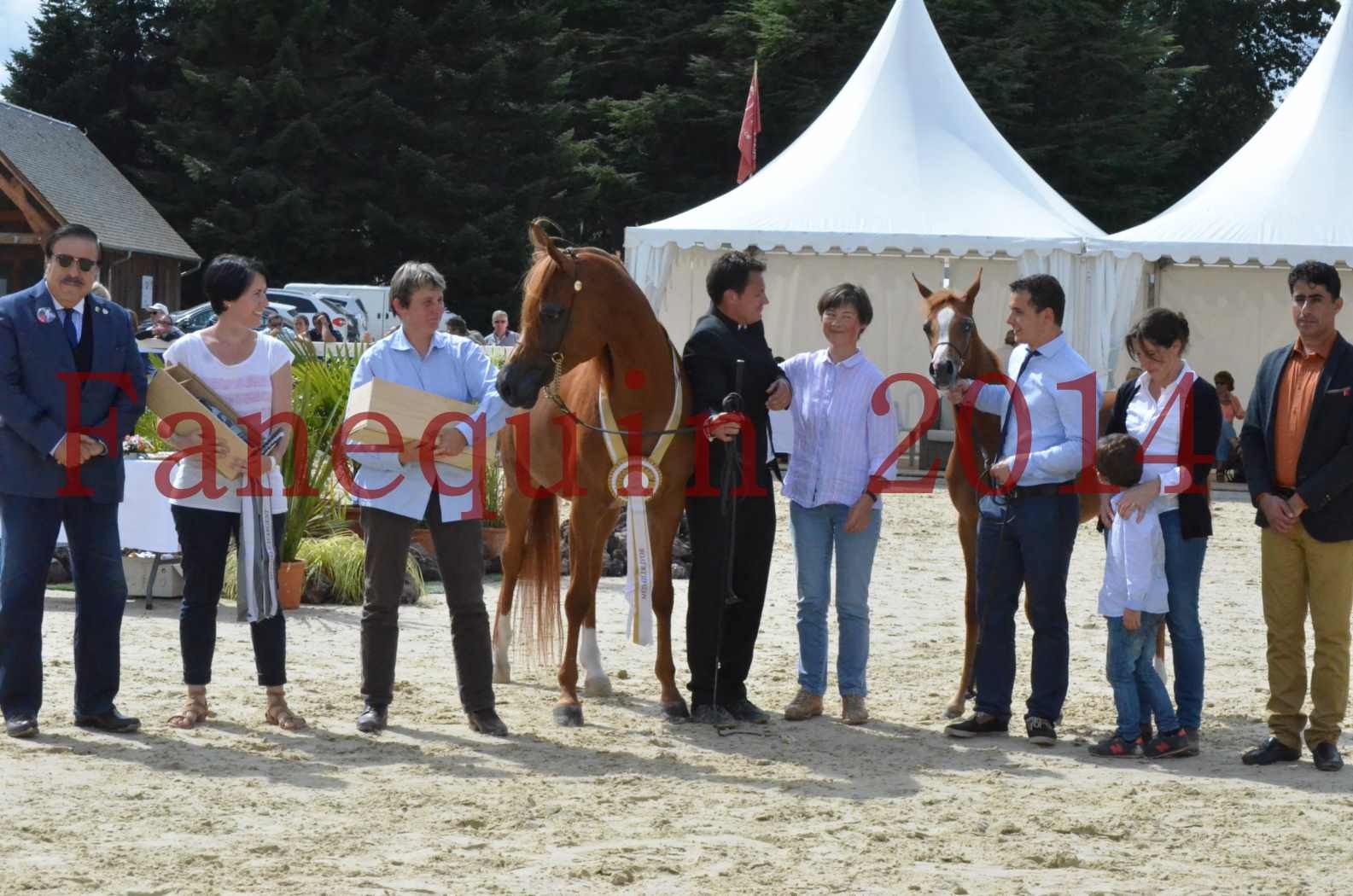 ﻿CHAMPIONNAT DE FRANCE 2014 A POMPADOUR - Championnat - KINSHASA JA - 70