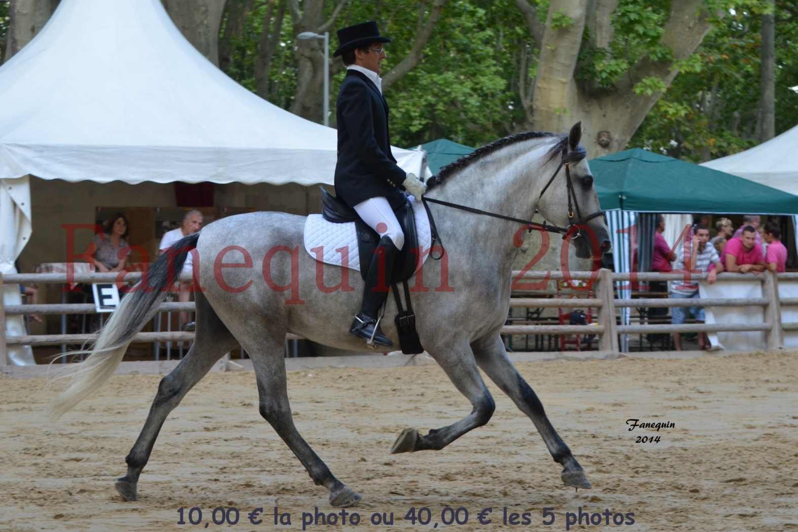 Championnat de FRANCE de PRE-présentation montés-04