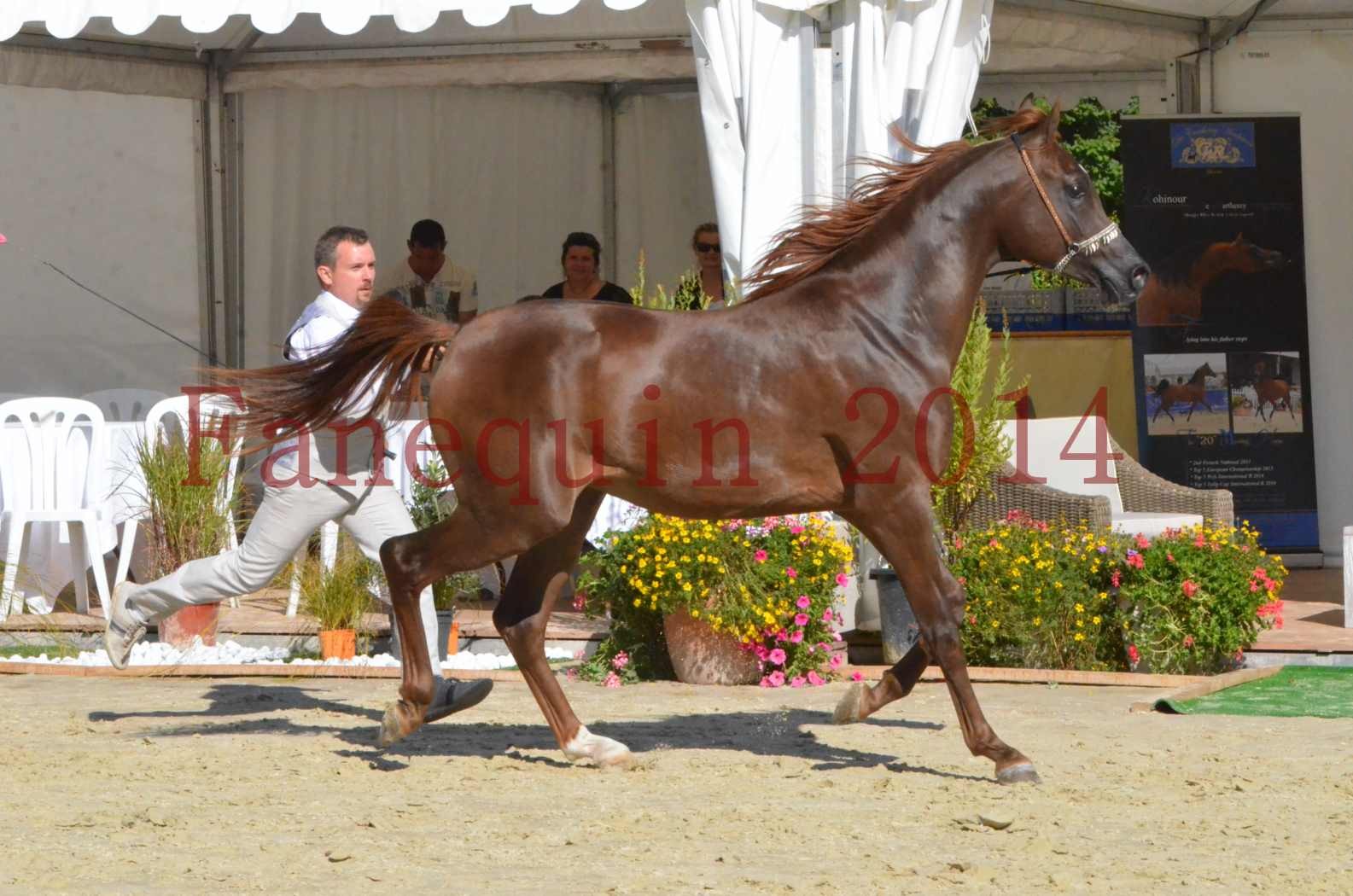 Championnat de FRANCE 2014 - Amateurs - LAMAL - 57