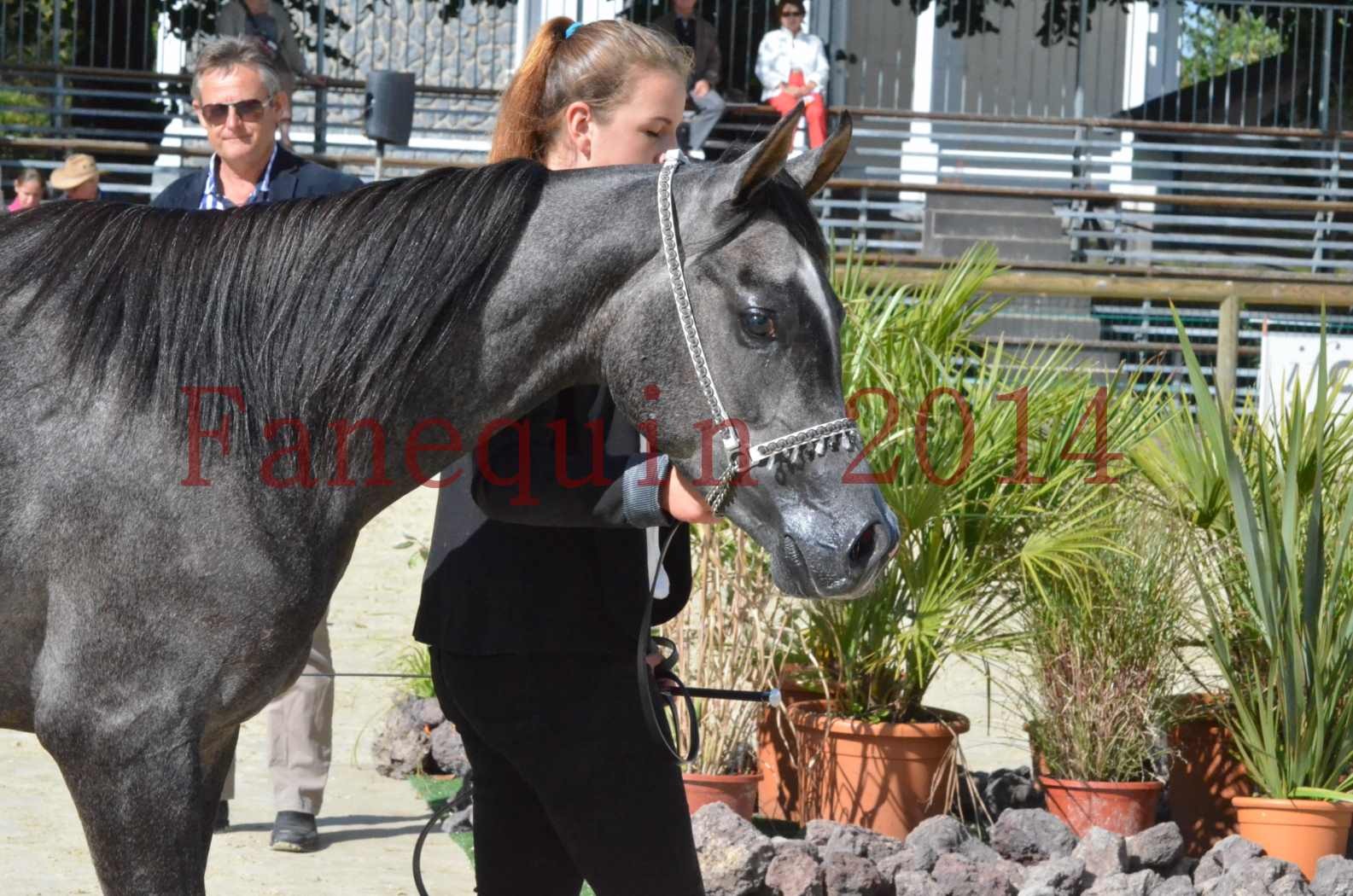 Championnat de FRANCE 2014 - Amateurs - CHTI KAID D'AUBIN - 48