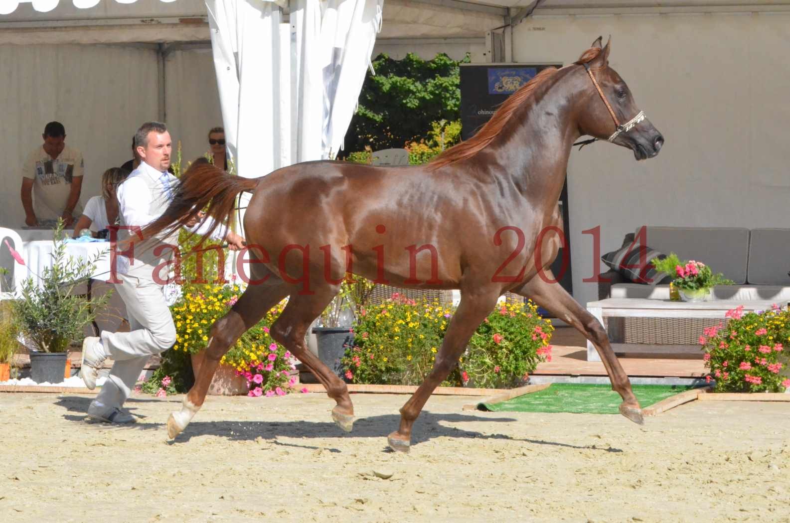 Championnat de FRANCE 2014 - Amateurs - LAMAL - 58