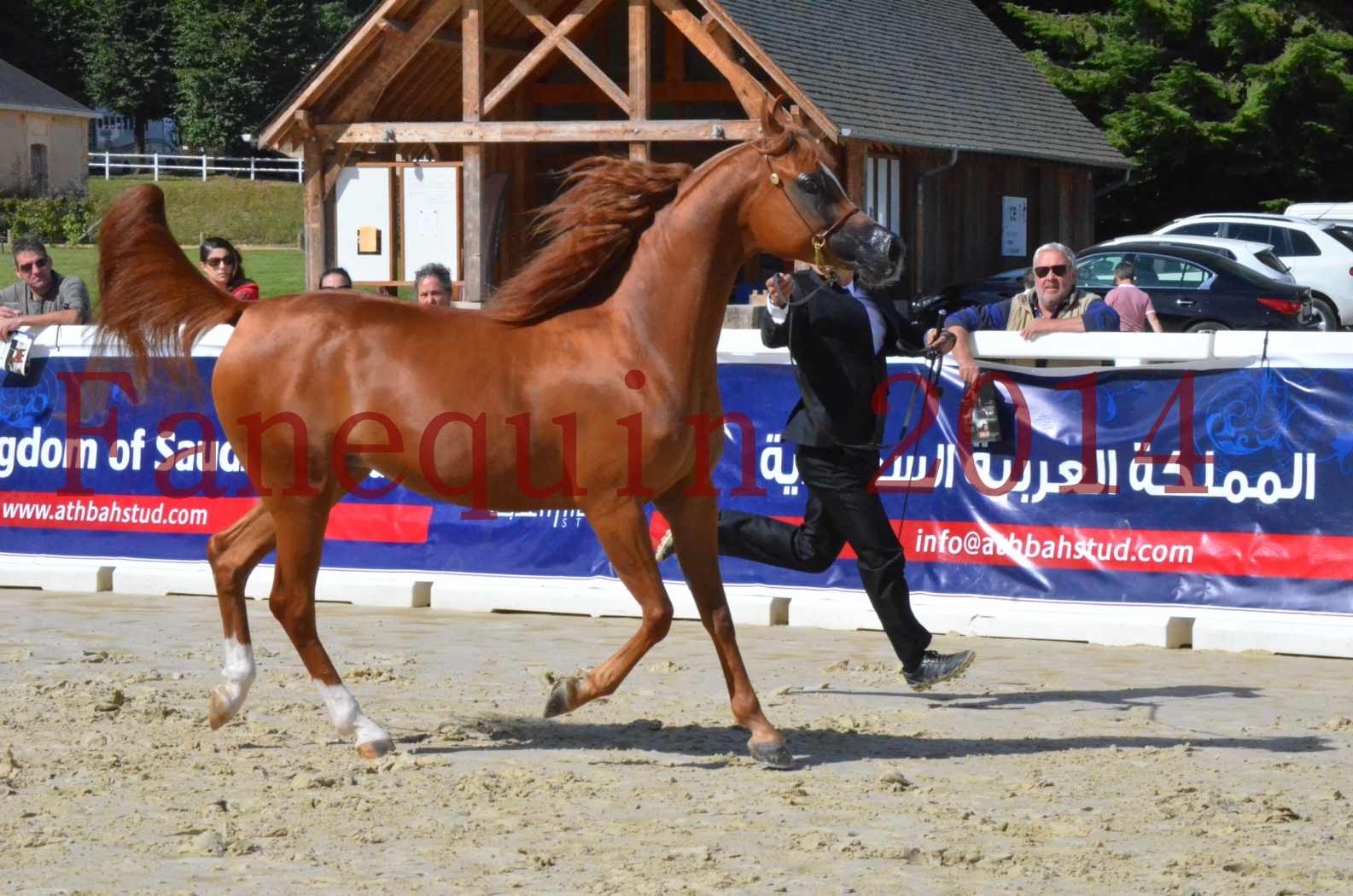 ﻿CHAMPIONNAT DE FRANCE 2014 A POMPADOUR - Sélection - KINSHASA JA - 03