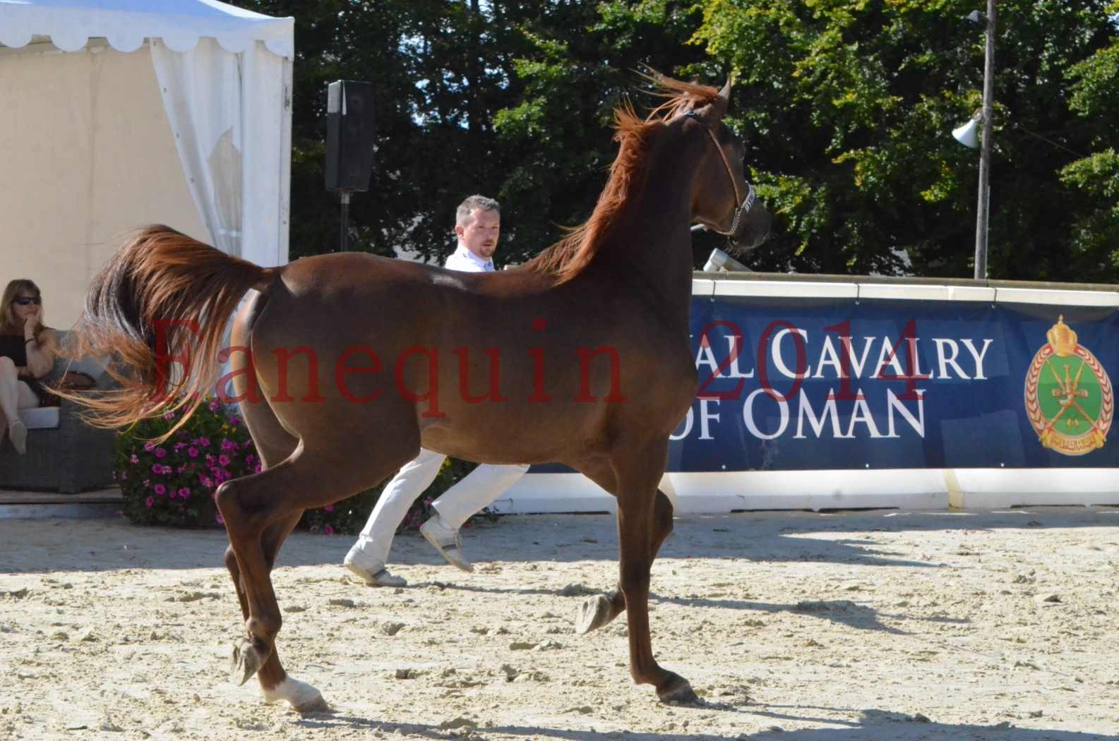 Championnat de FRANCE 2014 - Amateurs - LAMAL - 43