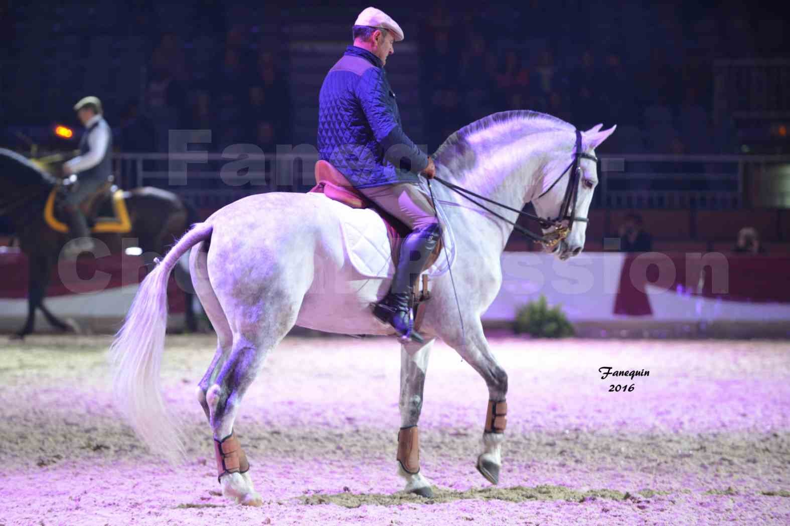 Cheval Passion 2016 - Présentation des LUSITANIENS - Ecurie de Max VENDRELL & Corinne BOUCHITTE - 06