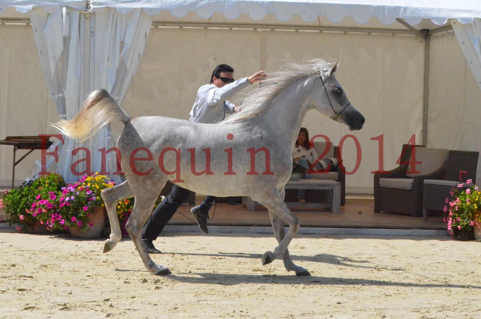 Championnat de FRANCE 2014 - Amateurs - VOLODIA DE LAFON - 032