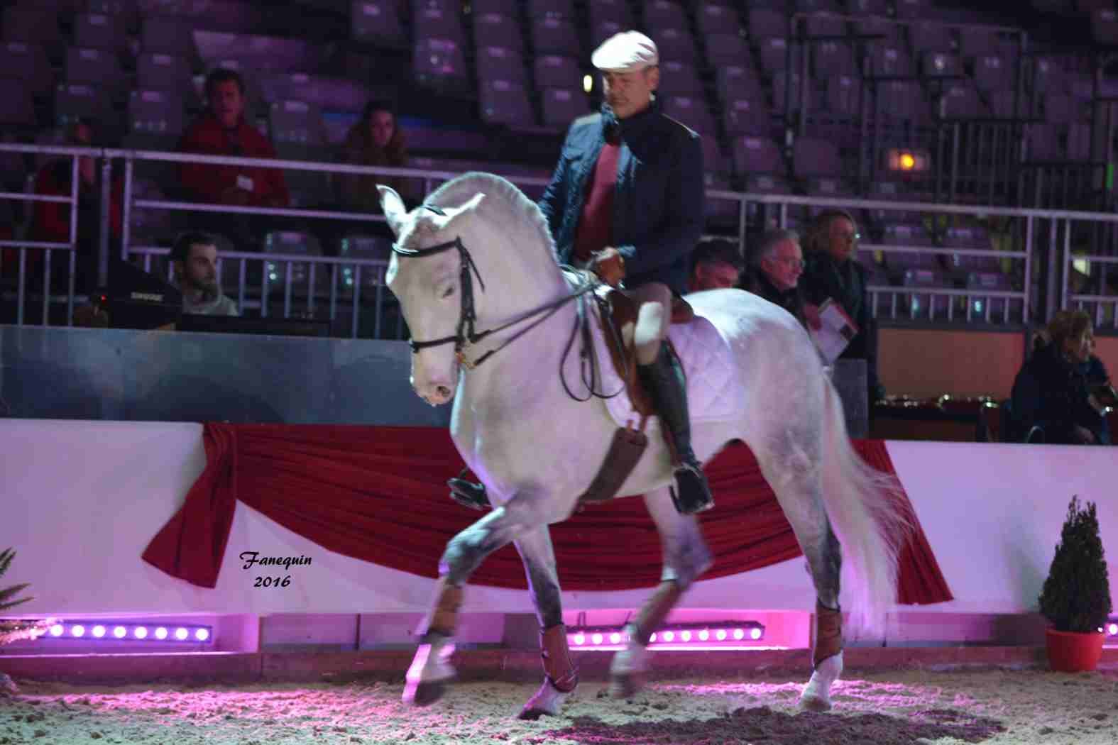 Cheval Passion 2016 - Présentation des LUSITANIENS - Ecurie de Max VENDRELL & Corinne BOUCHITTE - 11