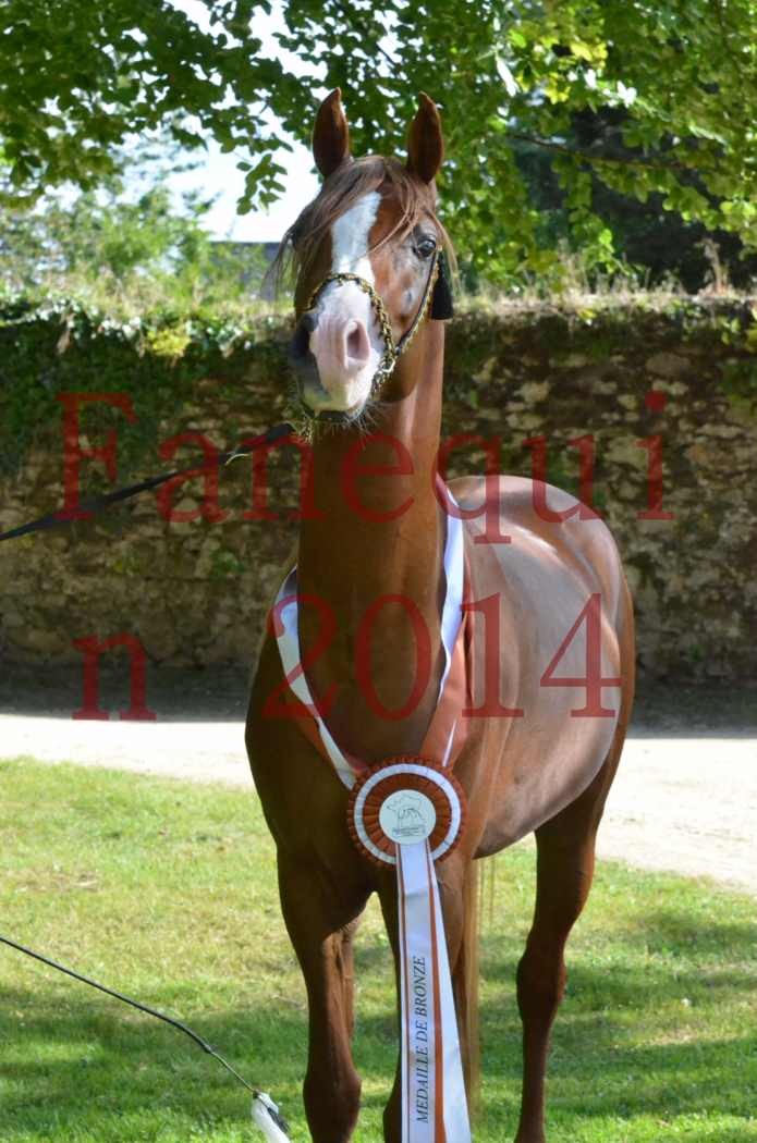 Championnat de FRANCE 2014 - Amateurs - SELECTO IBN SAMAWI - 171