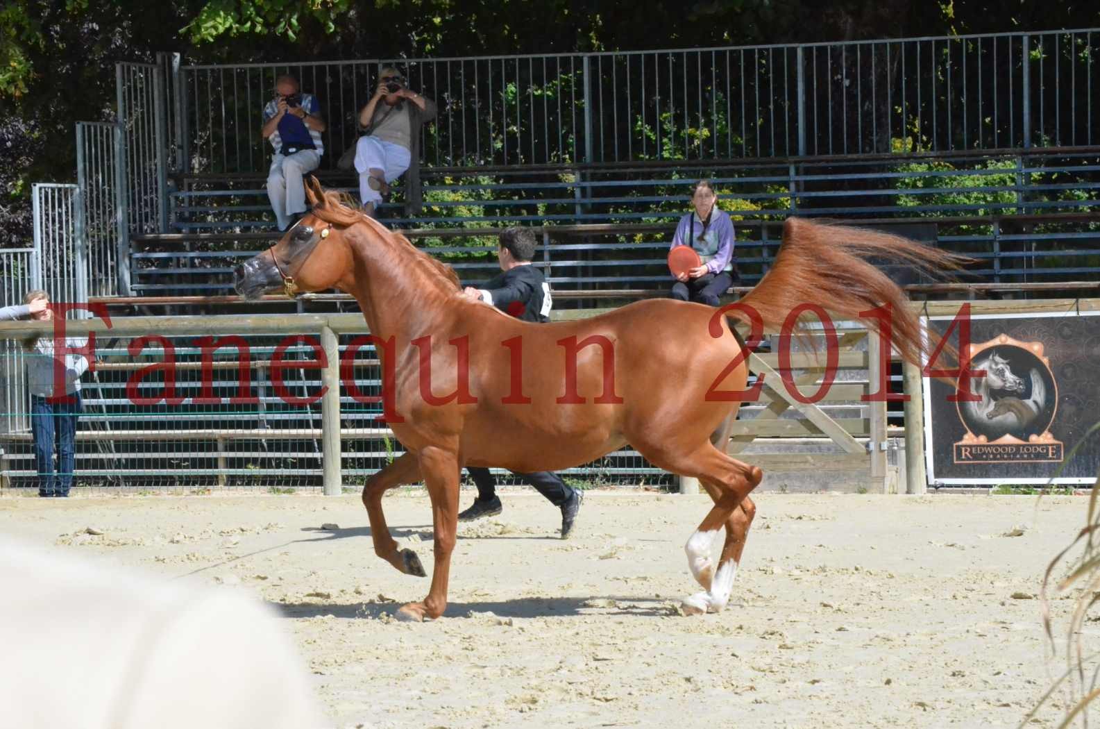 ﻿CHAMPIONNAT DE FRANCE 2014 A POMPADOUR - Sélection - KINSHASA JA - 36