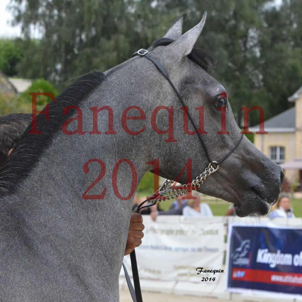 CHAMPIONNAT DE FRANCE 2014 A POMPADOUR - Notre Sélection - Portraits - AL MINYA - 7