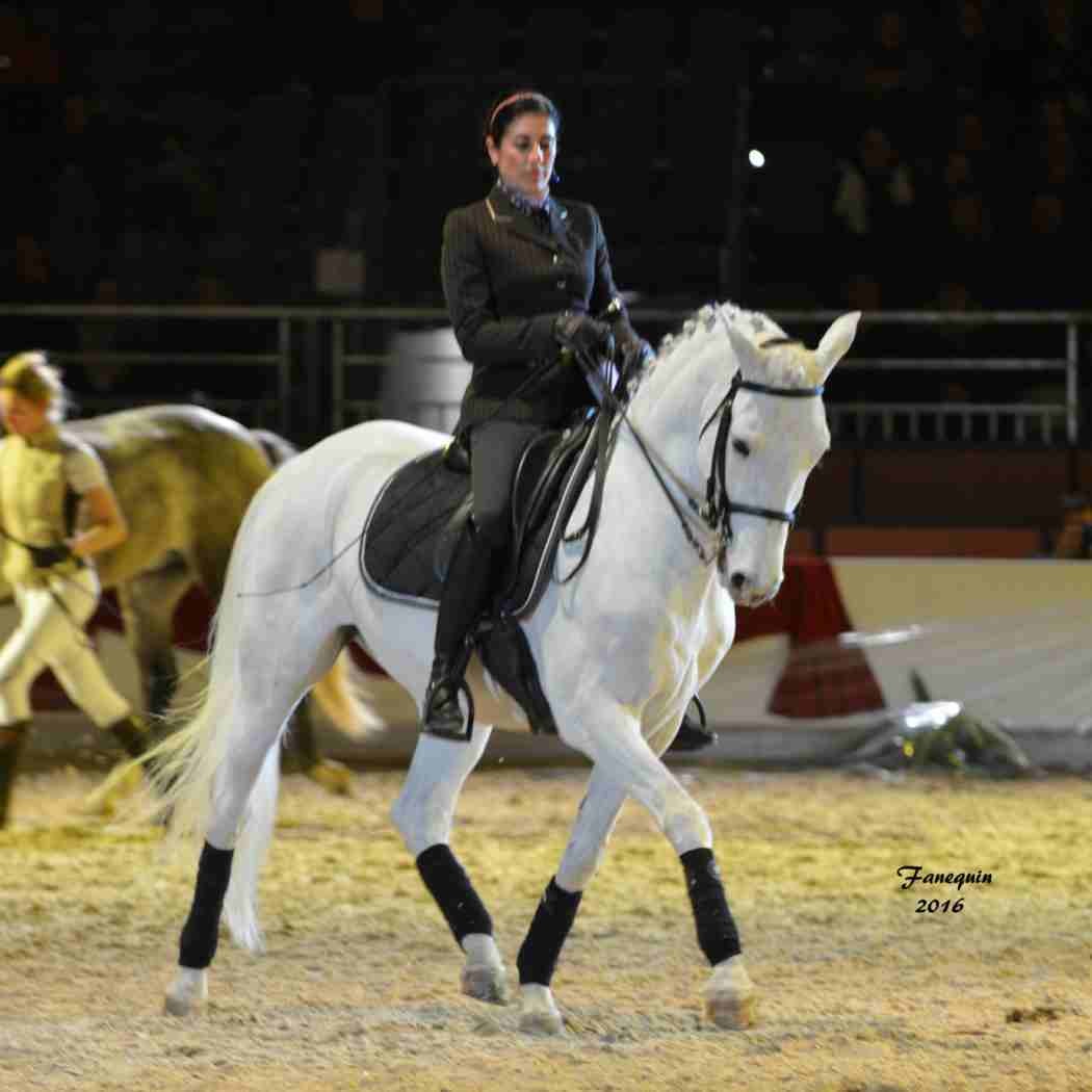 Cheval Passion 2016 - Présentation des LUSITANIENS - Ecurie de Max VENDRELL & Corinne BOUCHITTE - 47