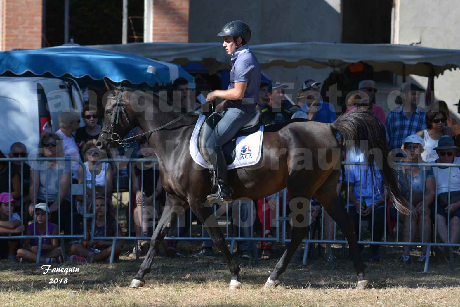 Fête du cheval à GRAULHET le 16 septembre 2018 - Présentation de chevaux Arabe Elevage de GACIA - 04