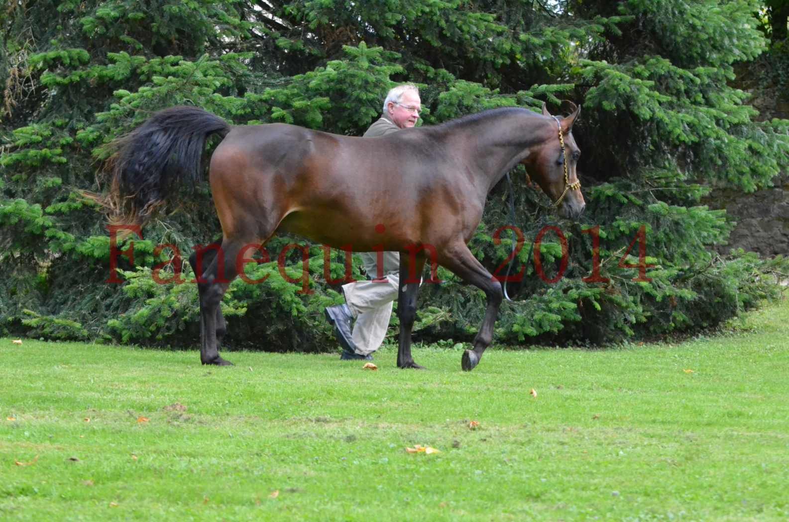 Championnat de FRANCE 2014 - Amateurs - JA KHALEB - 80