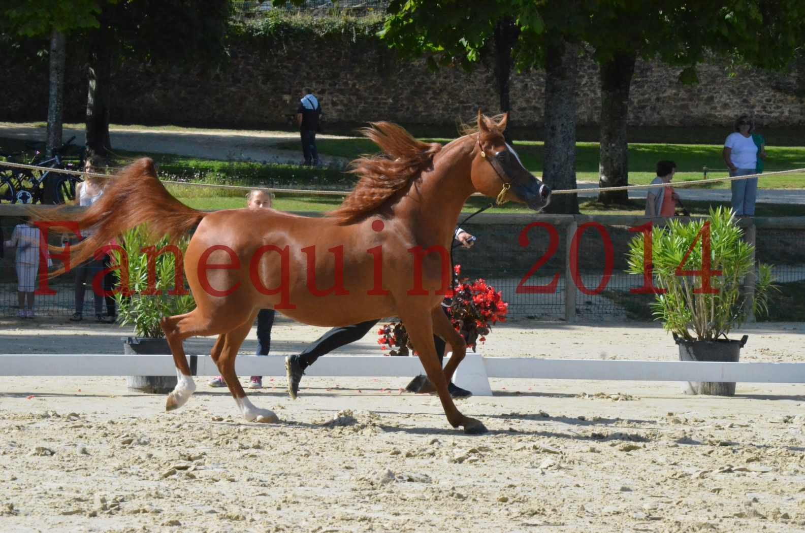 ﻿CHAMPIONNAT DE FRANCE 2014 A POMPADOUR - Sélection - KINSHASA JA - 10