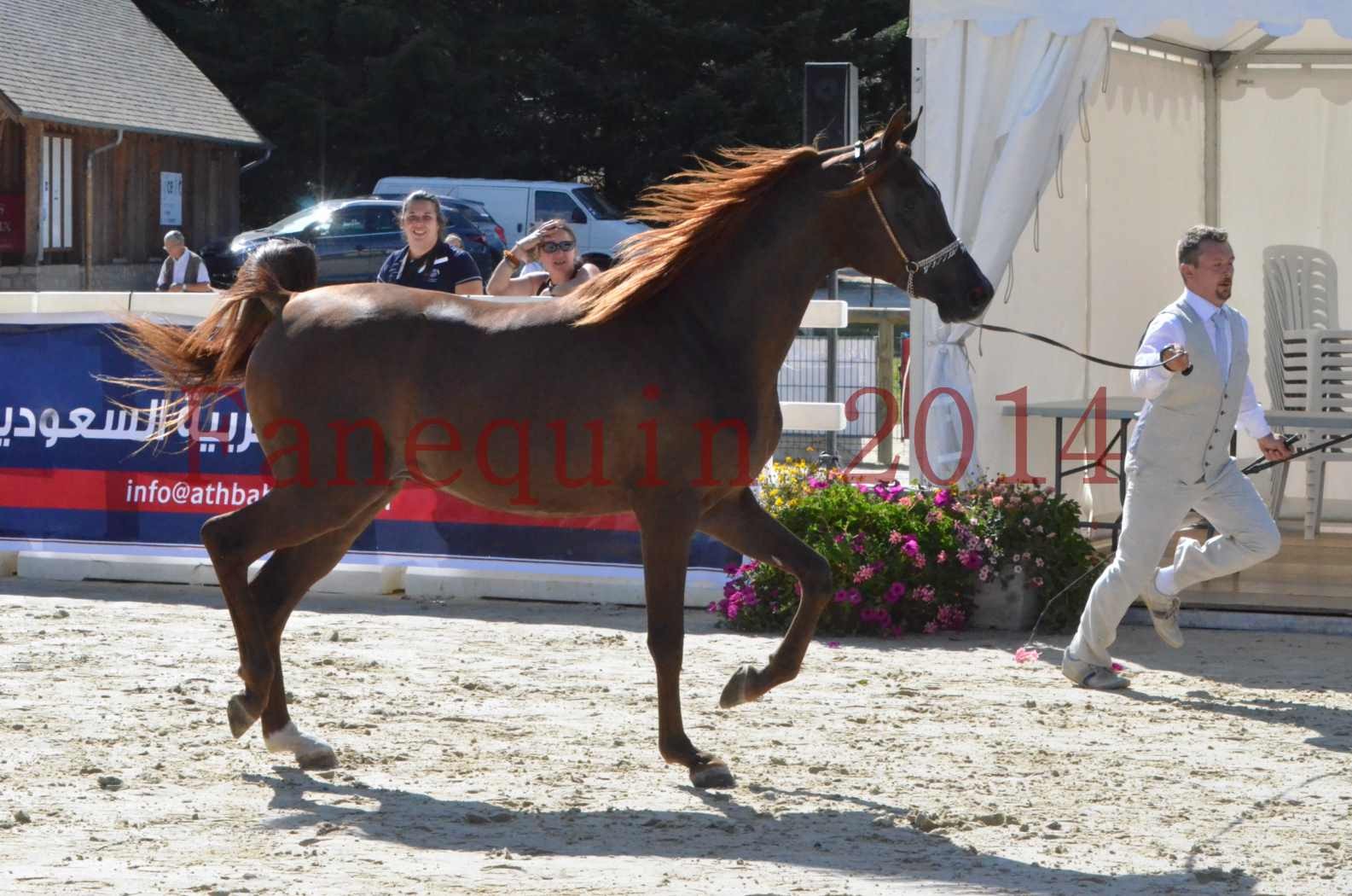 Championnat de FRANCE 2014 - Amateurs - LAMAL - 12