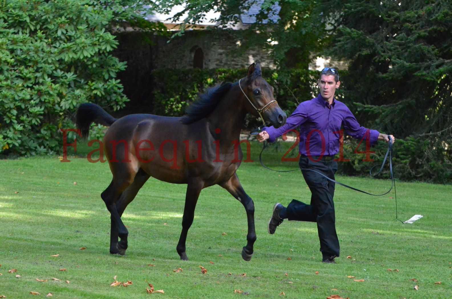 Championnat de FRANCE 2014 - Amateurs - SH FARAJAA - 88