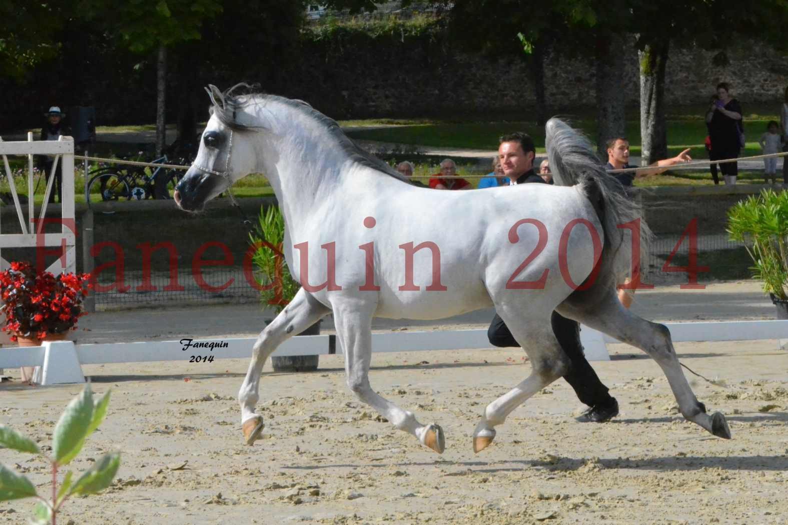 CHAMPIONNAT DE FRANCE  2014 A POMPADOUR - Notre Sélection - SHAOLIN DE NEDJAIA - 06