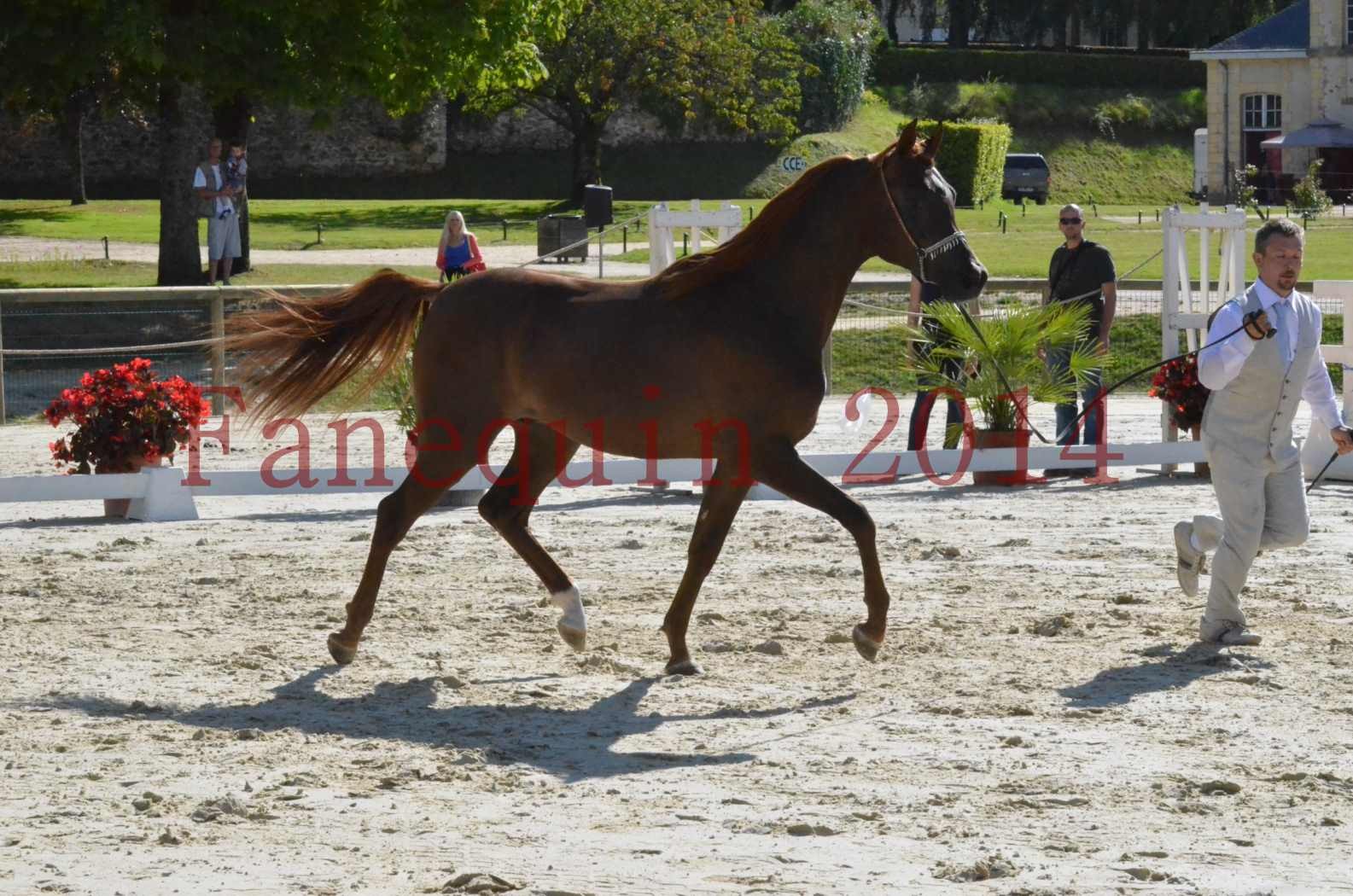 Championnat de FRANCE 2014 - Amateurs - LAMAL - 34