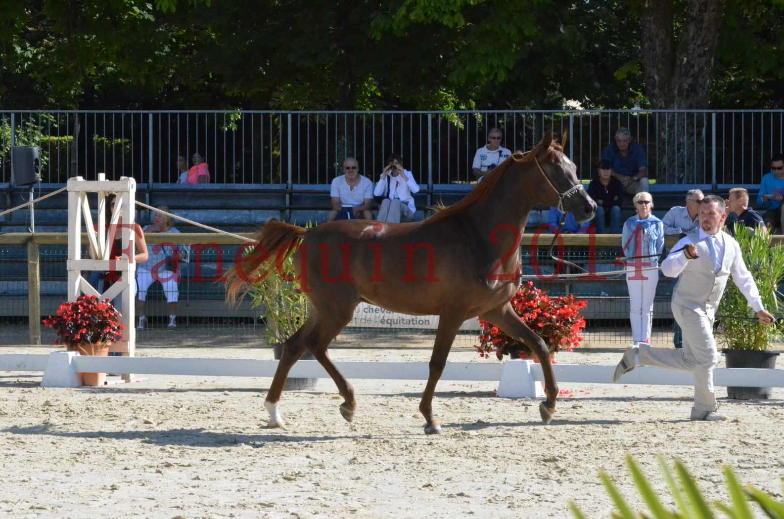 Championnat de FRANCE 2014 - Amateurs - LAMAL - 28