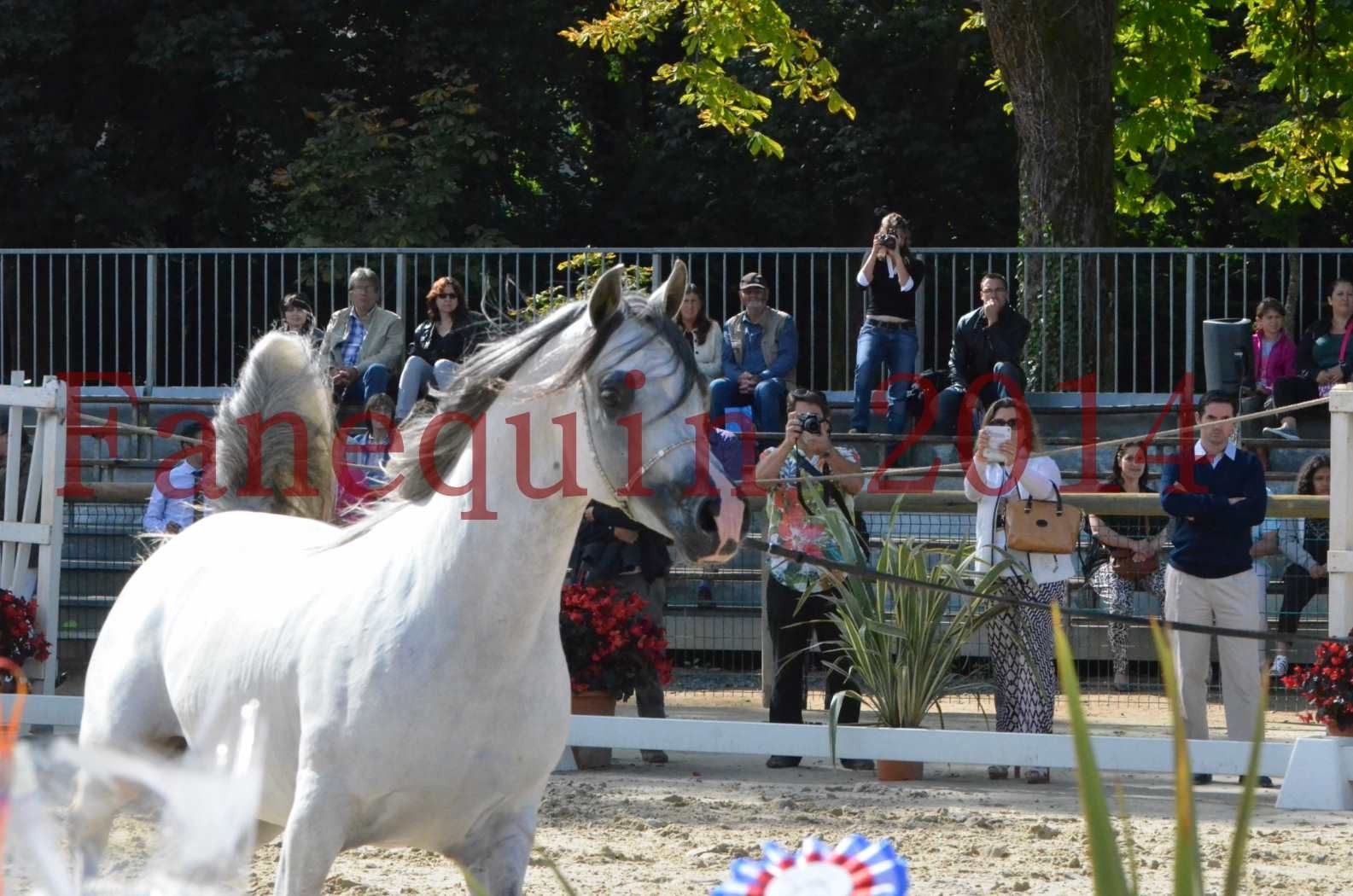 CHAMPIONNAT DE FRANCE  2014 A POMPADOUR - Sélection - SHAOLIN DE NEDJAIA - 45