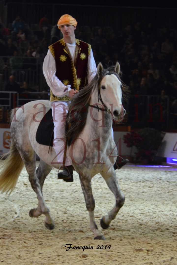 Show des races - Chevaux BARBE 25