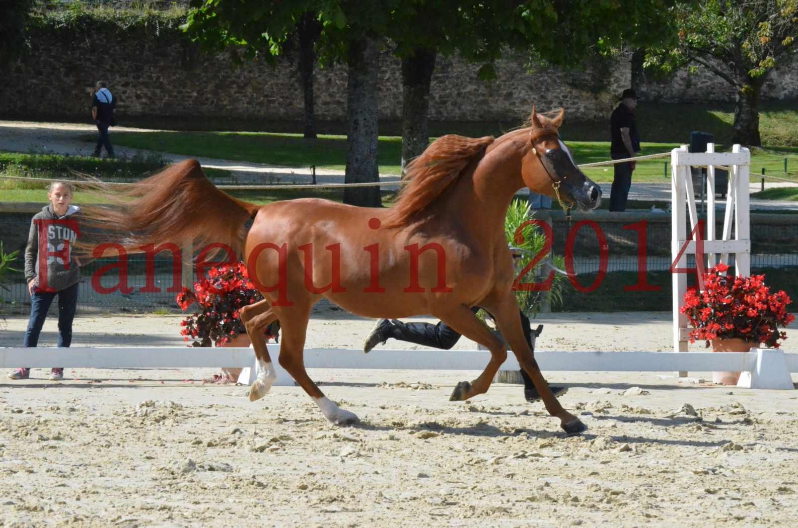 ﻿CHAMPIONNAT DE FRANCE 2014 A POMPADOUR - Sélection - KINSHASA JA - 12