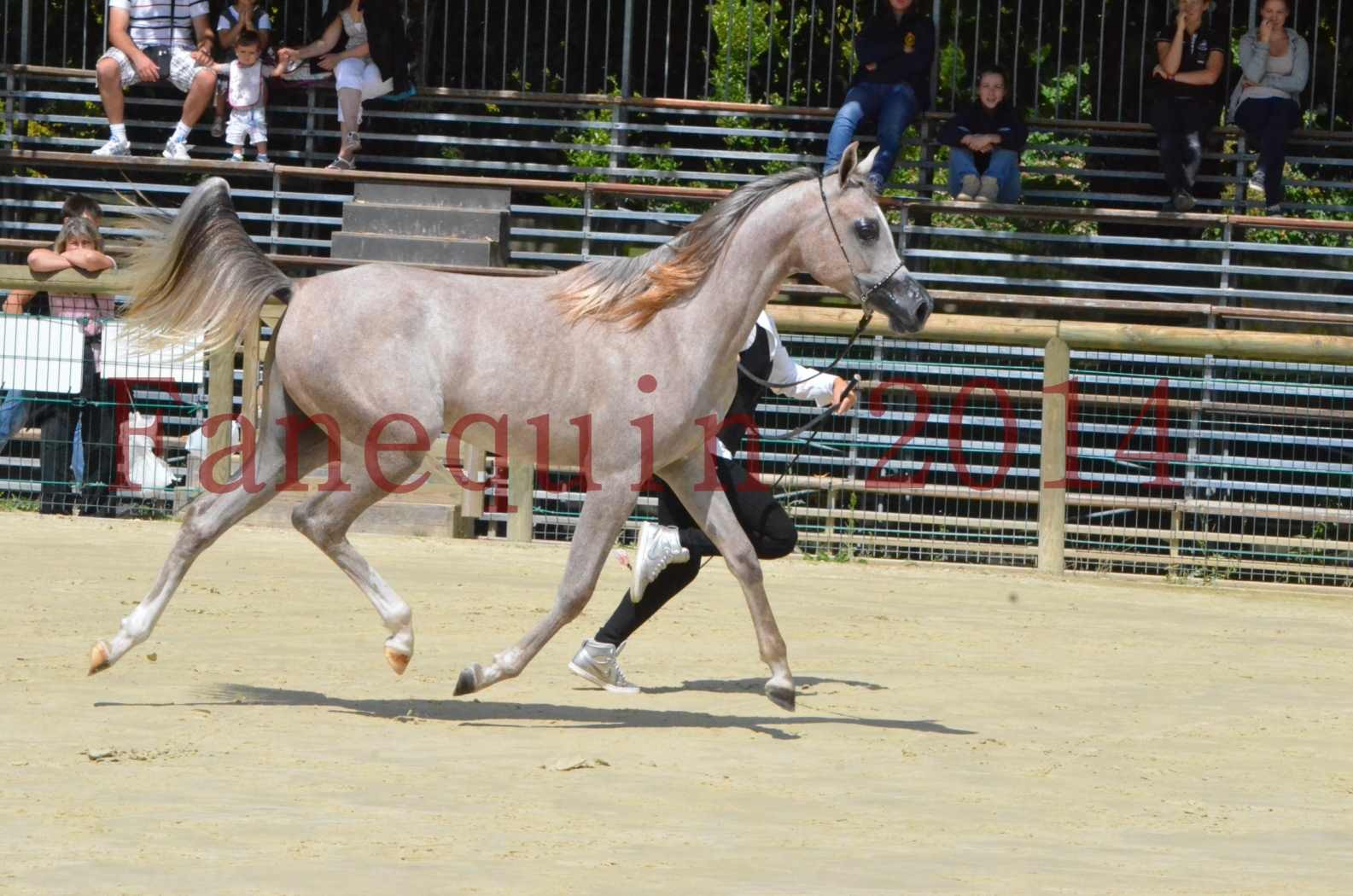 Championnat de FRANCE 2014 - Amateurs - SANA ISHANE - 30