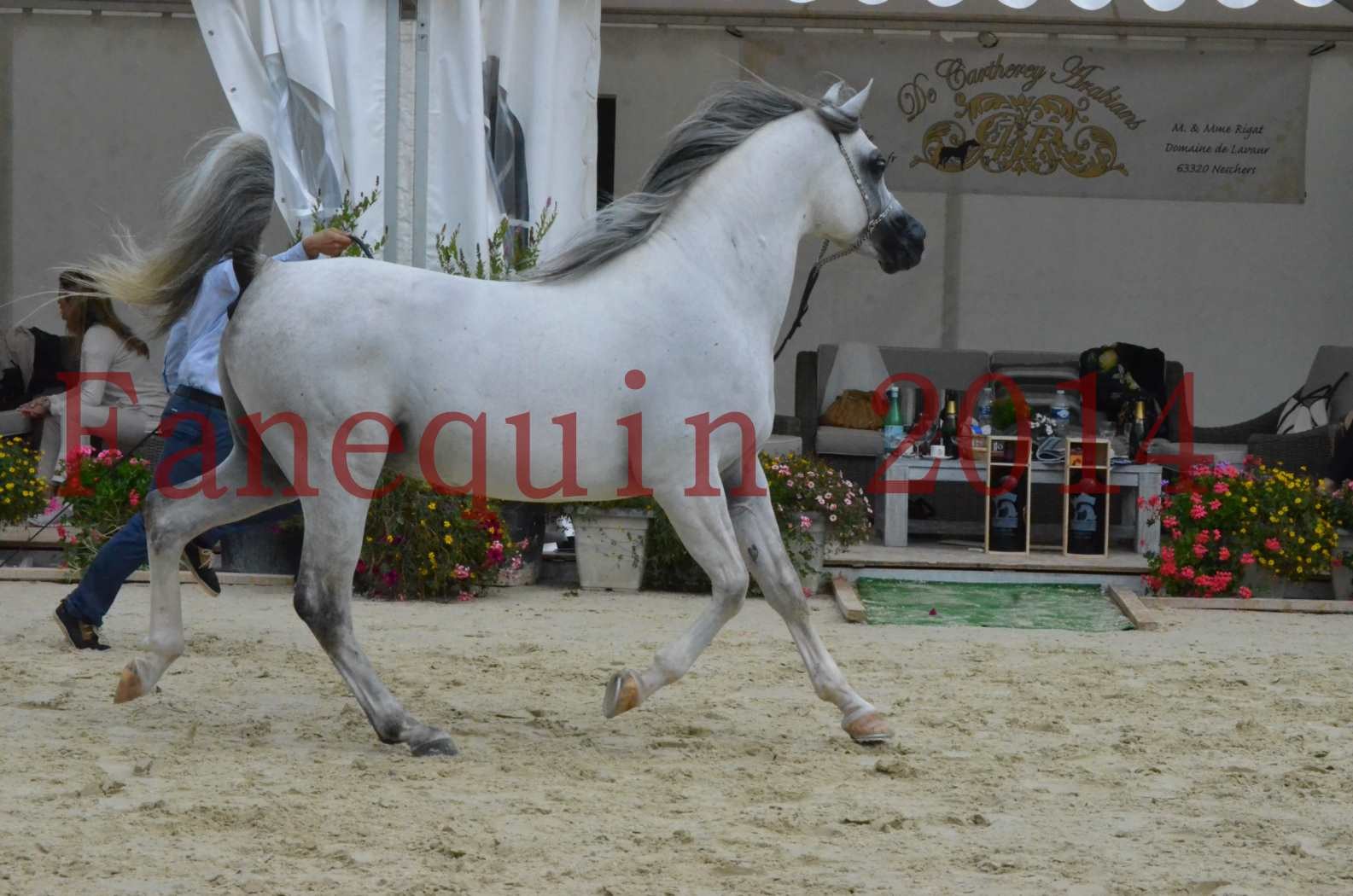 CHAMPIONNAT DE FRANCE  2014 A POMPADOUR - Championnat - SHAOLIN DE NEDJAIA - 15