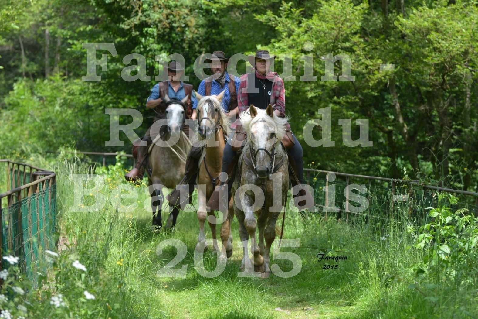 Route du Beaujolais 2015 - plusieurs cavaliers - samedi après midi - 2