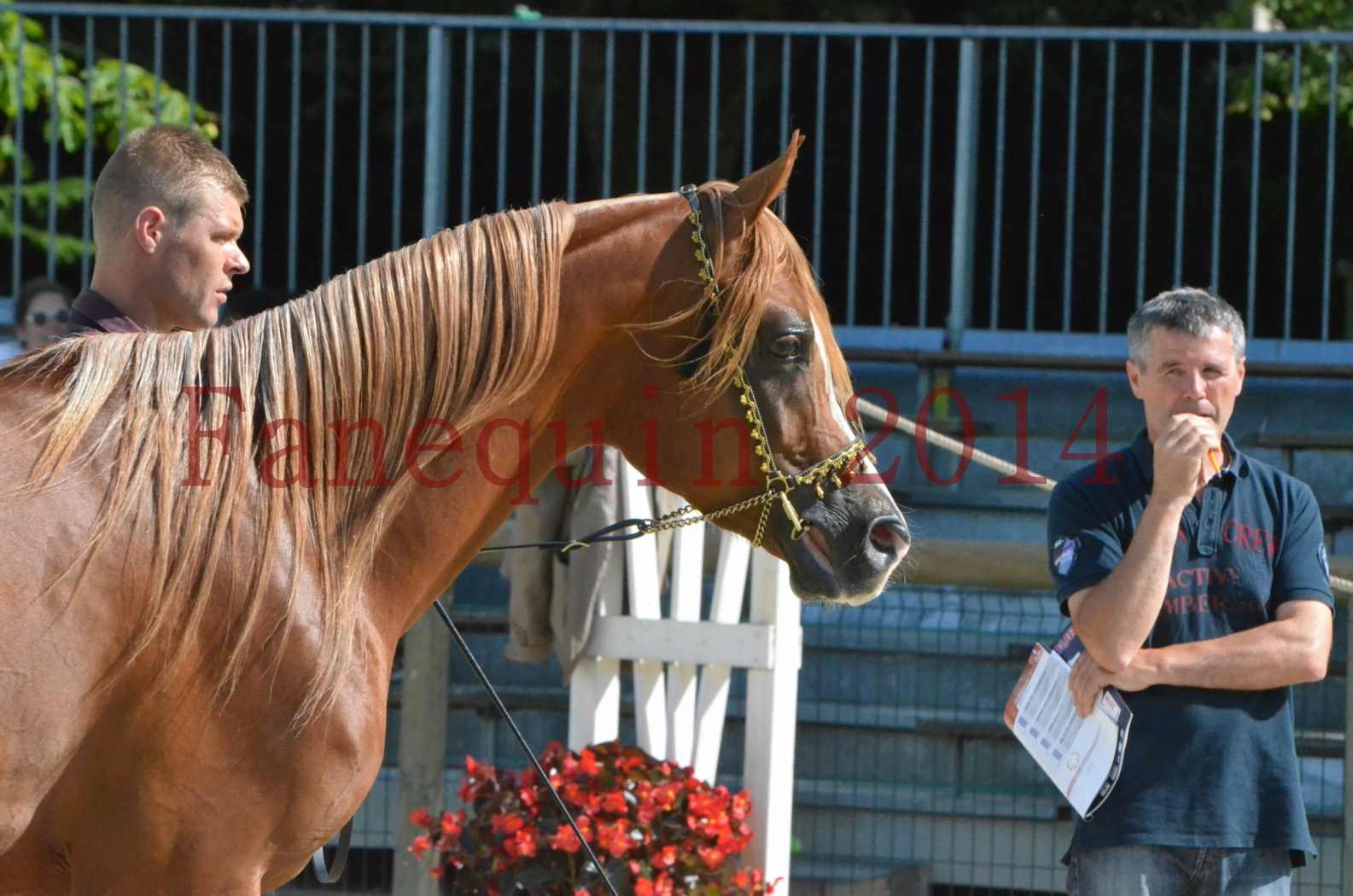 Championnat de FRANCE 2014 - Amateurs - SELECTO IBN SAMAWI - 025