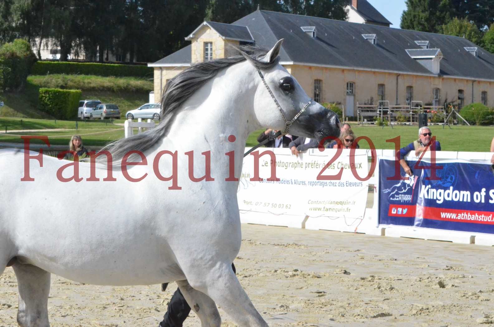 CHAMPIONNAT DE FRANCE  2014 A POMPADOUR - Sélection - SHAOLIN DE NEDJAIA - 07