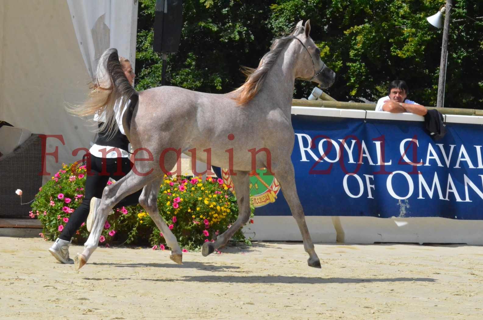 Championnat de FRANCE 2014 - Amateurs - SANA ISHANE - 26