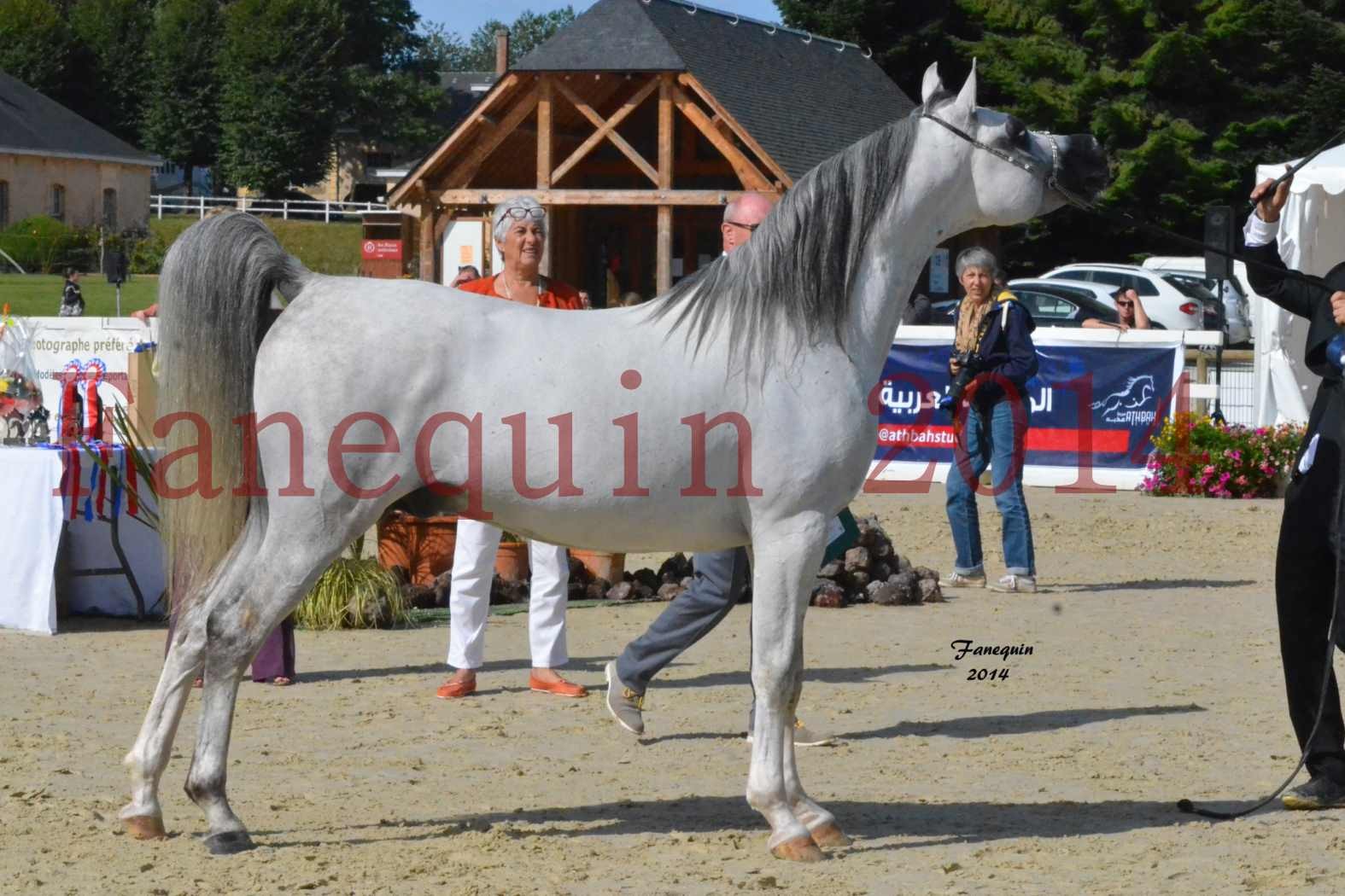 CHAMPIONNAT DE FRANCE  2014 A POMPADOUR - Notre Sélection - SHAOLIN DE NEDJAIA - 17