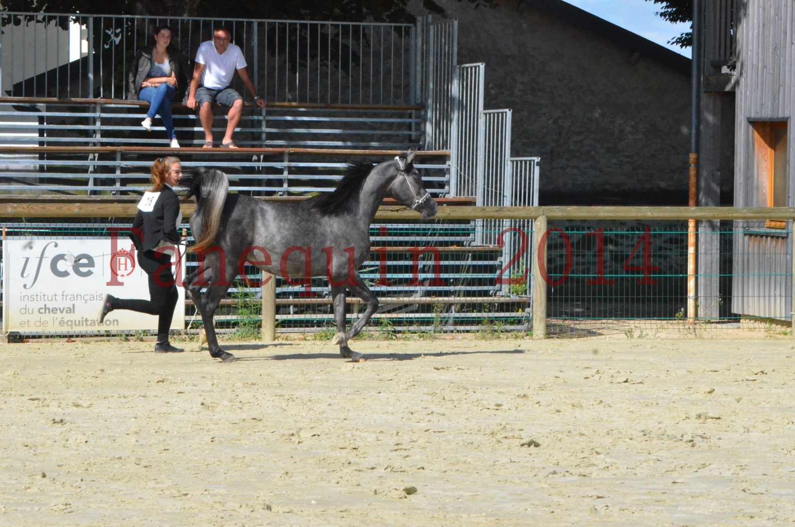 Championnat de FRANCE 2014 - Amateurs - CHTI KAID D'AUBIN - 23