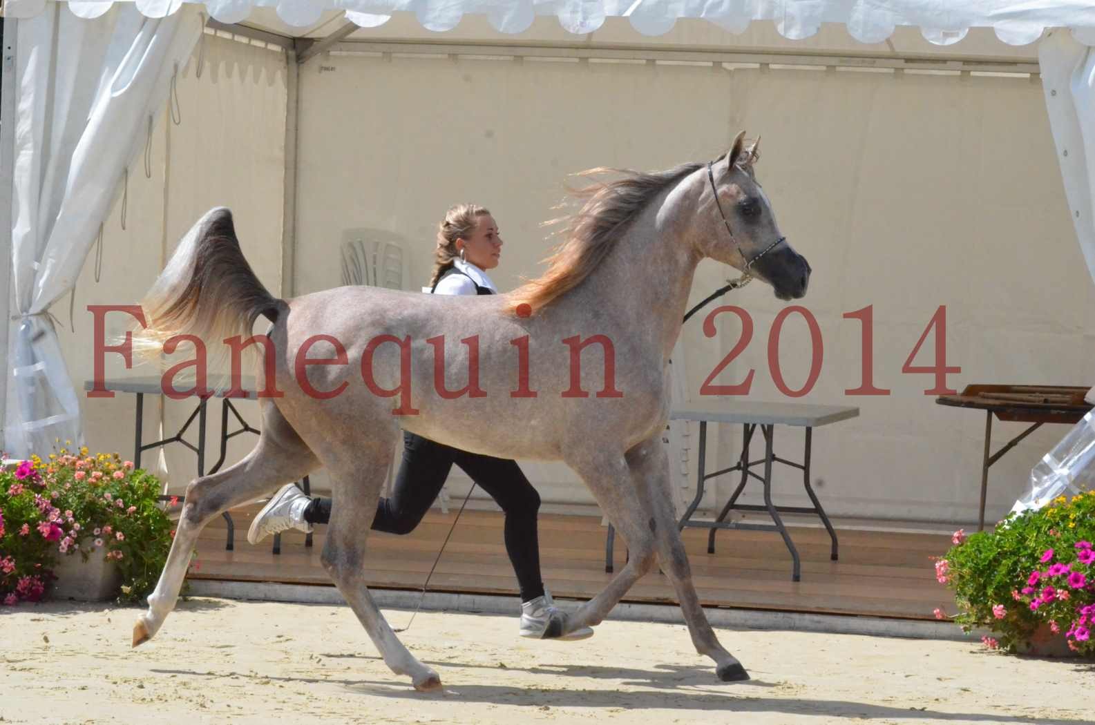 Championnat de FRANCE 2014 - Amateurs - SANA ISHANE - 20