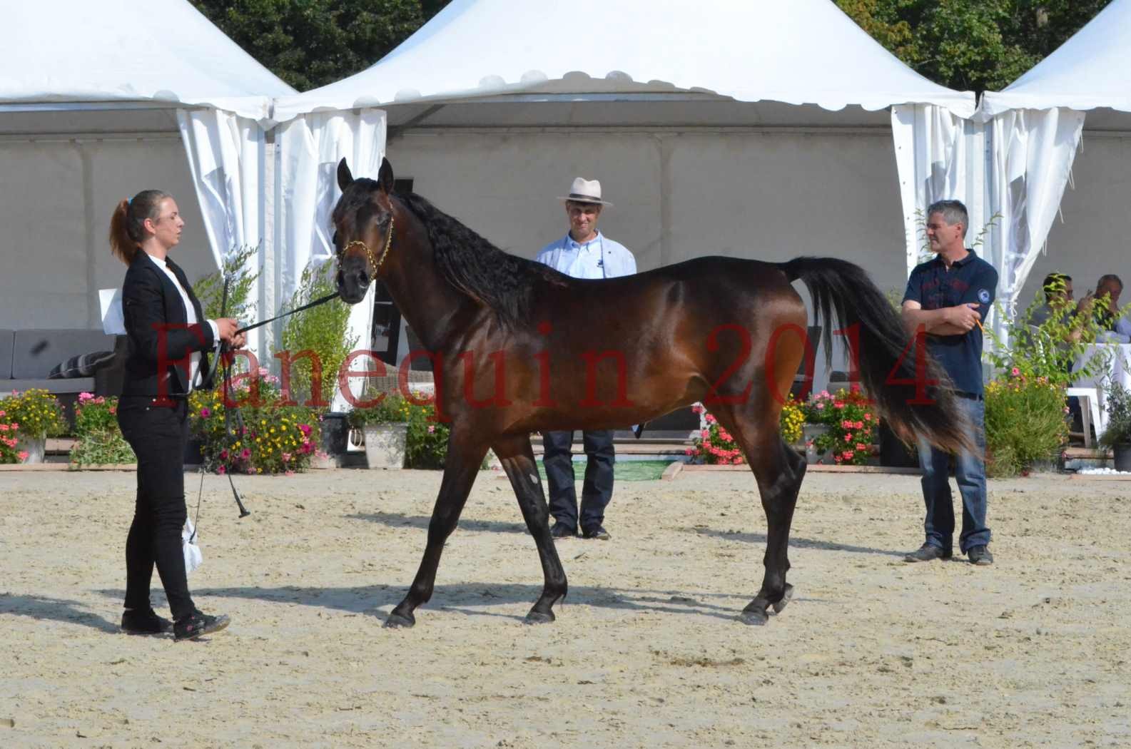 Championnat de FRANCE 2014 - Amateurs - JA KHALEB - 36