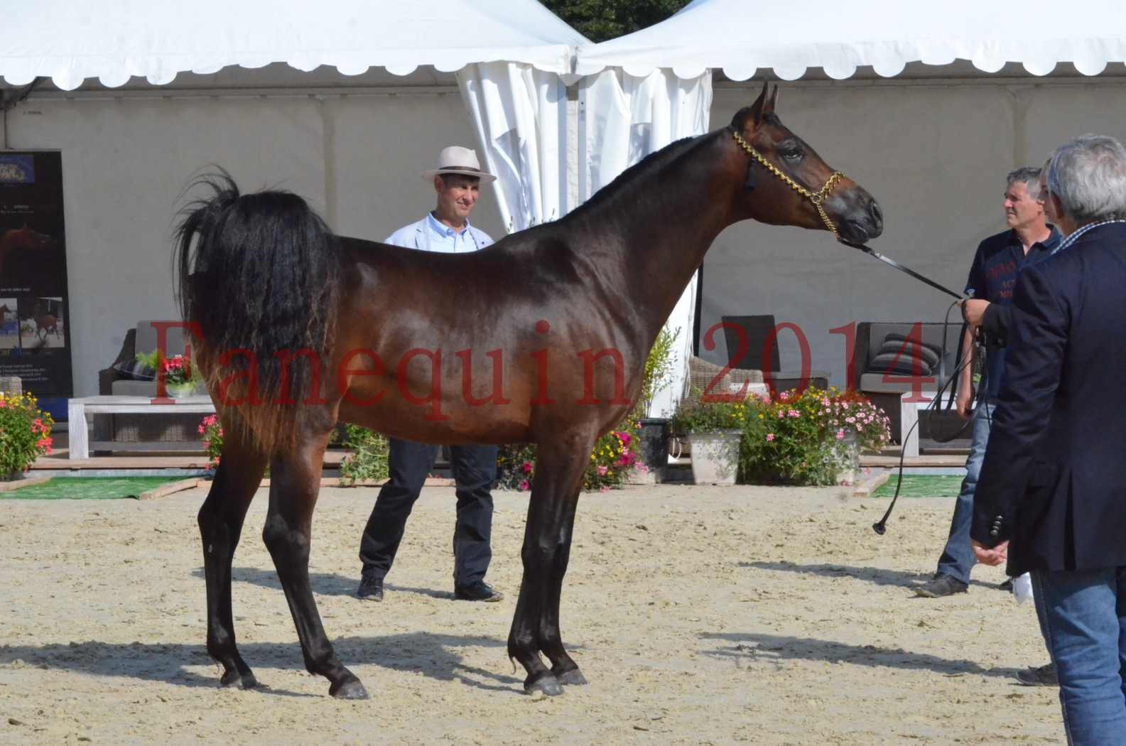 Championnat de FRANCE 2014 - Amateurs - JA KHALEB - 33