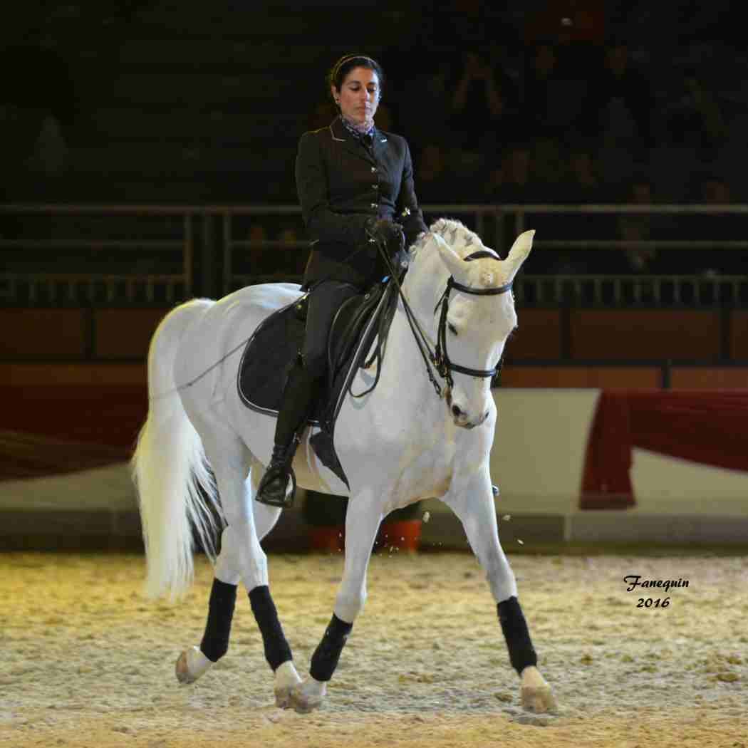 Cheval Passion 2016 - Présentation des LUSITANIENS - Ecurie de Max VENDRELL & Corinne BOUCHITTE - 44