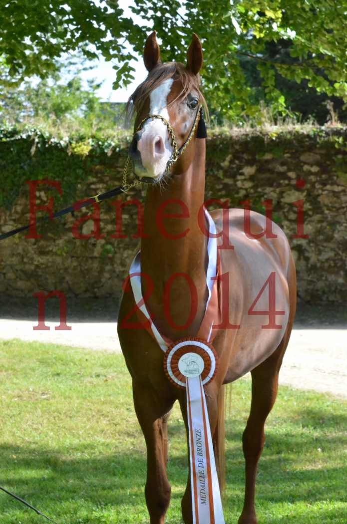 Championnat de FRANCE 2014 - Amateurs - SELECTO IBN SAMAWI - 172