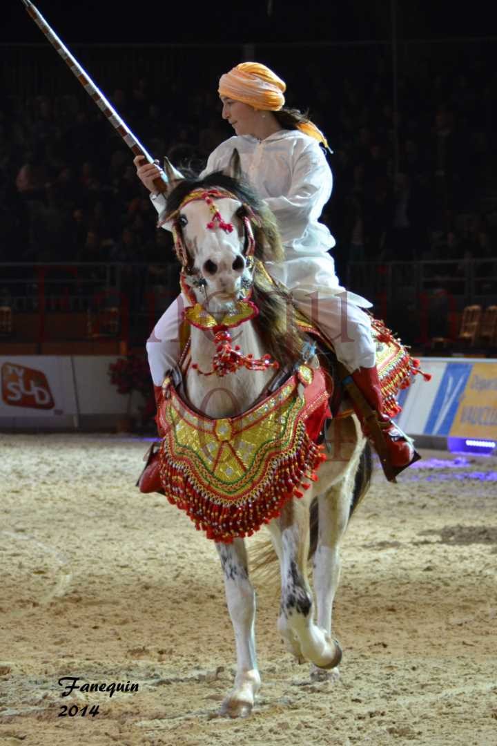 Show des races - Chevaux BARBE 34