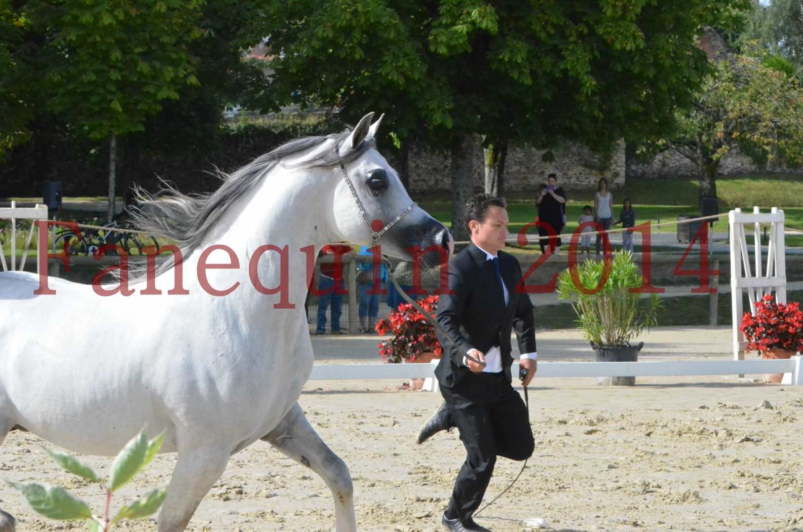 CHAMPIONNAT DE FRANCE  2014 A POMPADOUR - Sélection - SHAOLIN DE NEDJAIA - 06